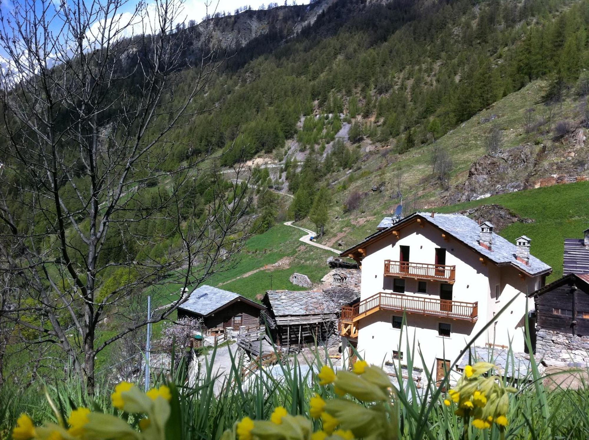 Alpe Rebelle Bionaz Exterior foto