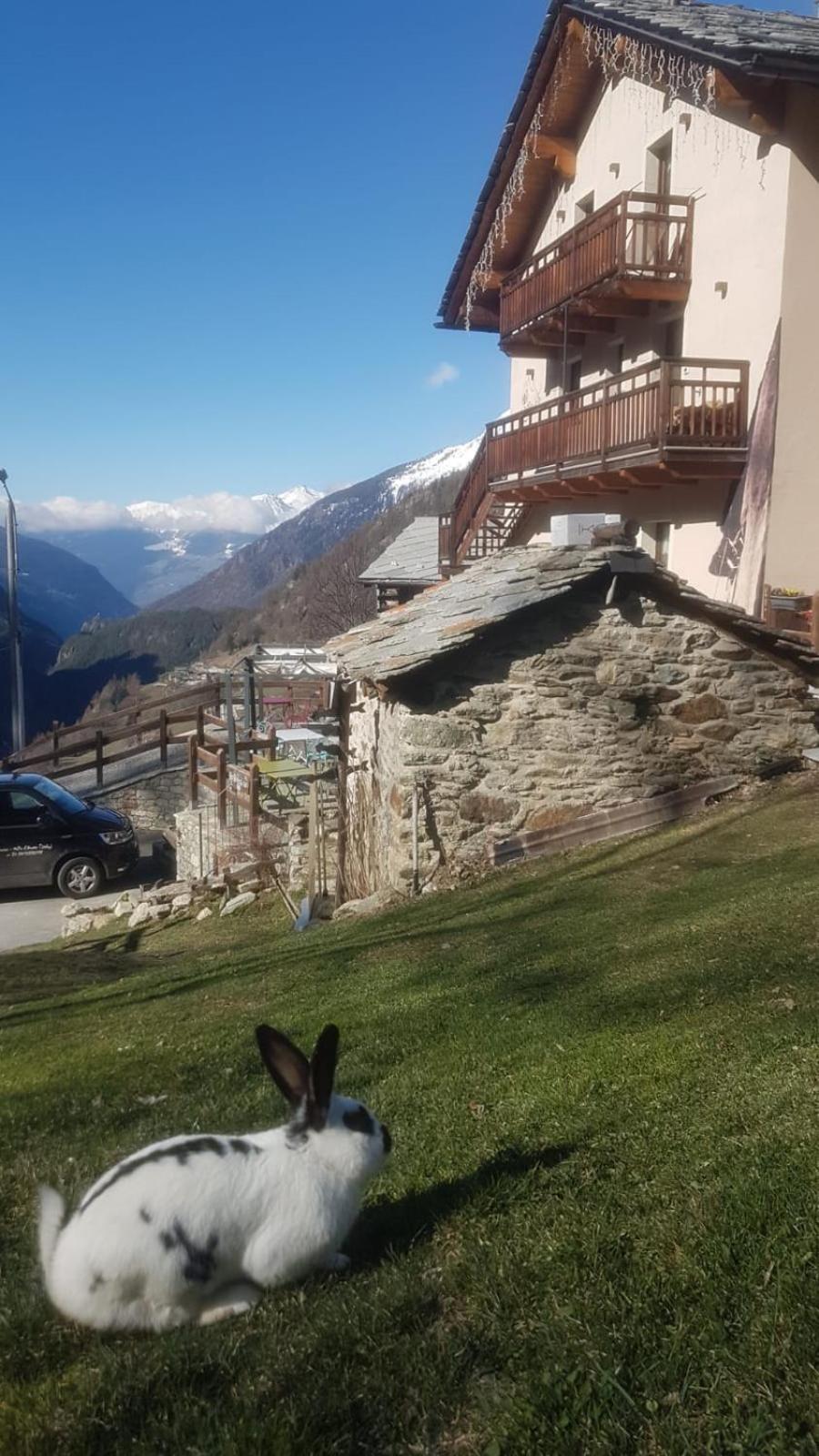Alpe Rebelle Bionaz Exterior foto