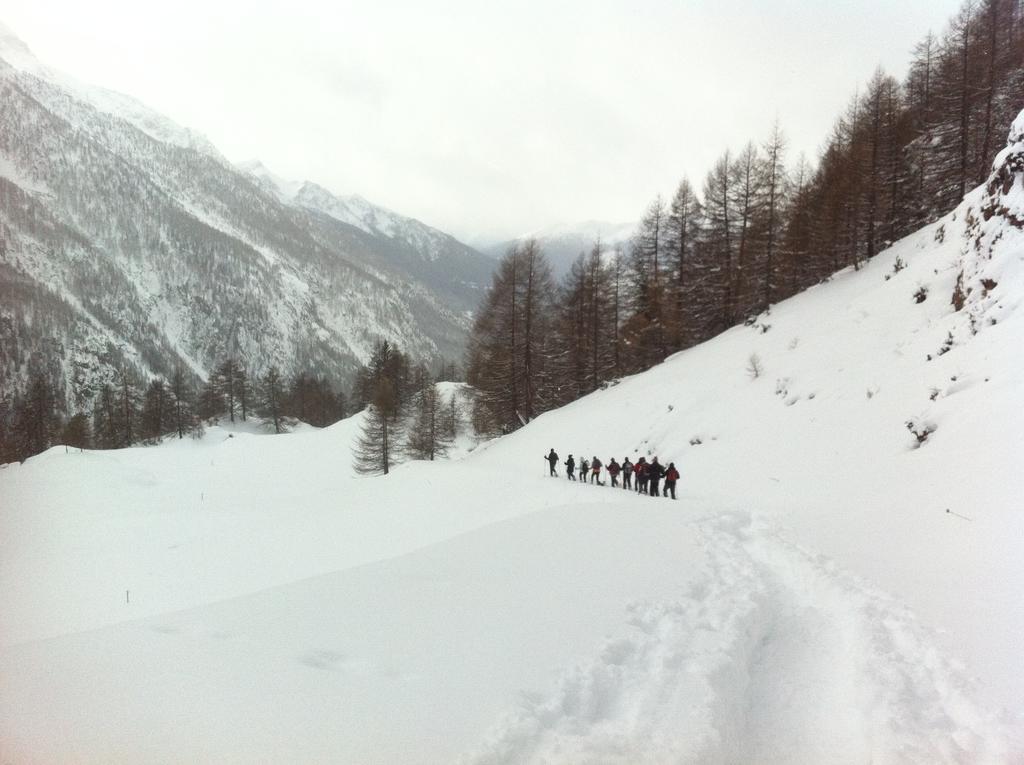 Alpe Rebelle Bionaz Exterior foto
